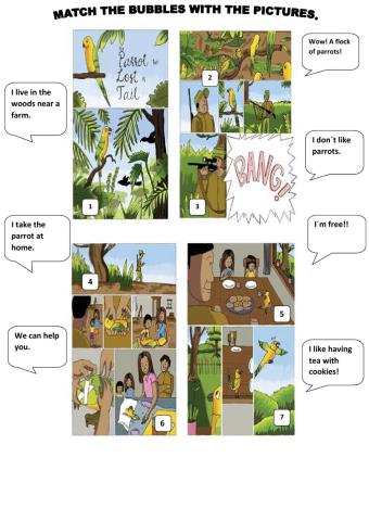 The Parrot That Lost Its Tail