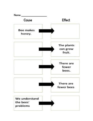 Bees: Cause and Effect