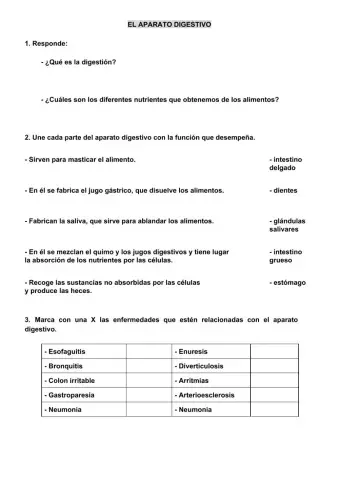 APARATO DIGESTIVO