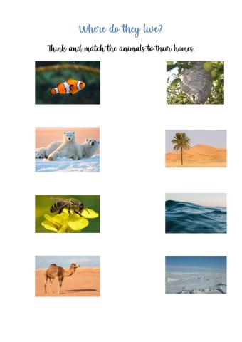 Where do these animals live?