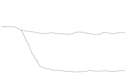 Metamorfosis de la rana