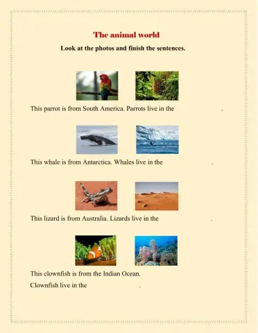 Animals and their habitats