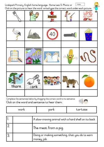 Grade 3 English HL: Term 2 Week 6 Home-test: Friday