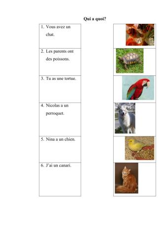 Qui a quoi:les animaux