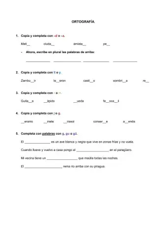 Ortografía 3