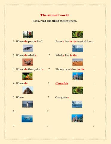 The animal world - grammar