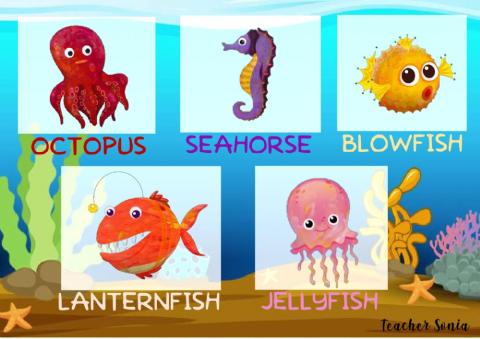 Sea animals
