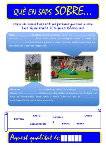 Que saps sobre... QFB Salt 04