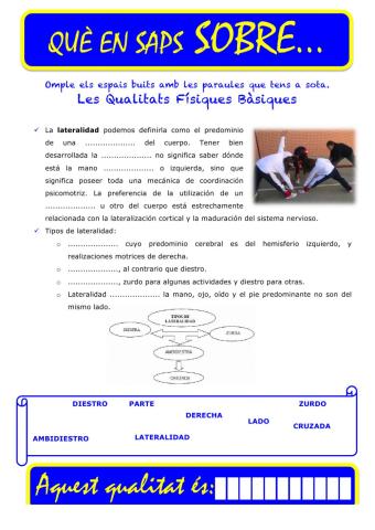 Que saps sobre... QFB Lateralitat