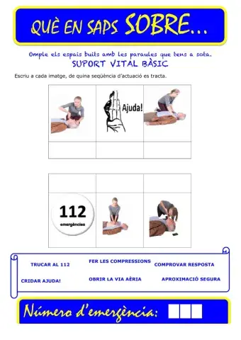 Que saps sobre... SVB-CS 02