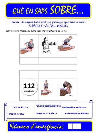 Que saps sobre... SVB-CS 02