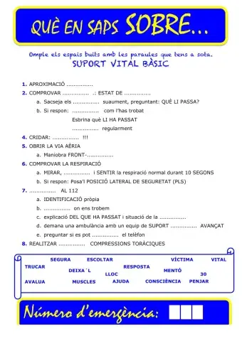 Que saps sobre... SVB-CS 04