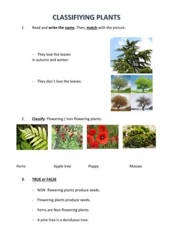 Classifying plants