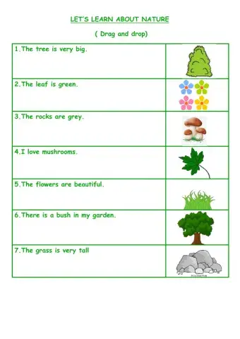 Let's learn about nature