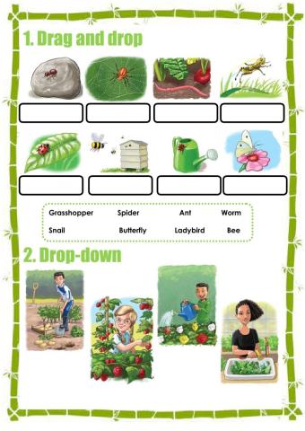 In the Community Garden