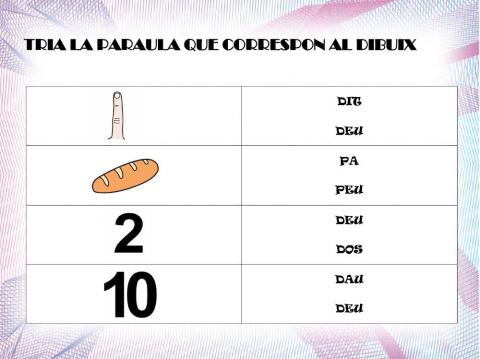 Tria la paraula correcta