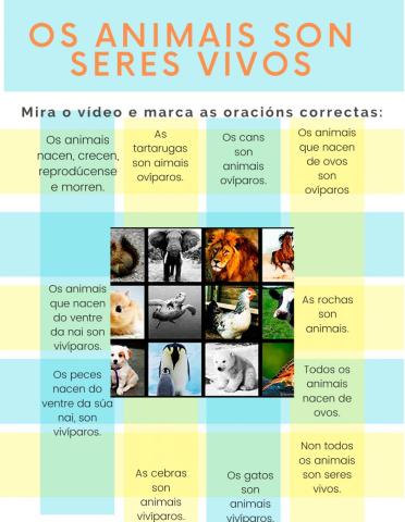 Os animais son seres vivos