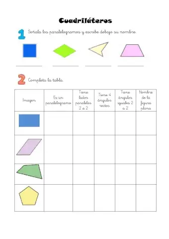 Cuadriláteros