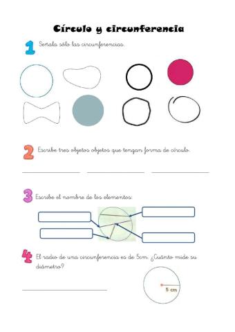 Círculo y circunferencia