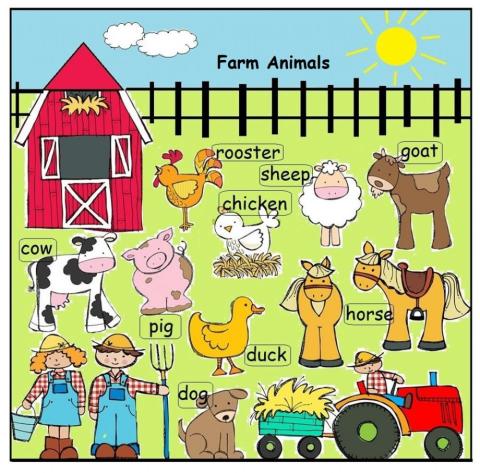 Farm Animals-Listening