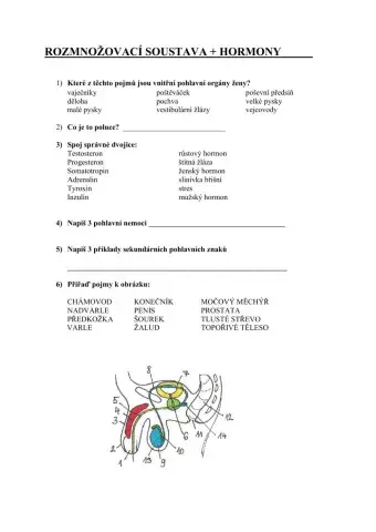 Pohlavní soustava a hormony