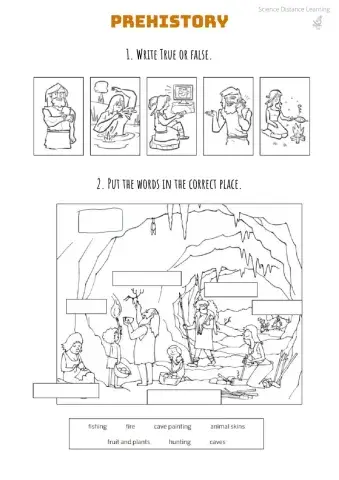 Prehistory