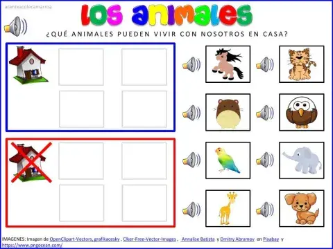 ¿qué animales pueden vivir con nosotros en casa?
