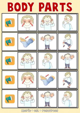 Body Parts