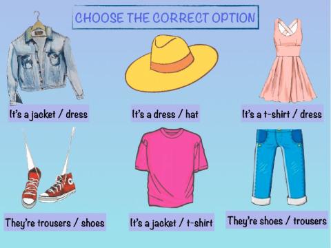 Choose the correct word