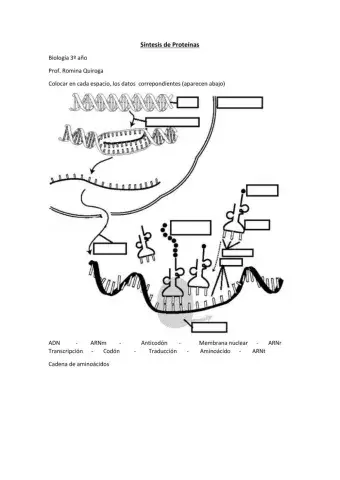 Síntesis de proteínas