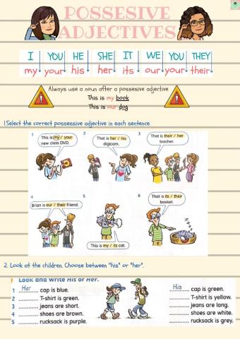 Possesive adjectives