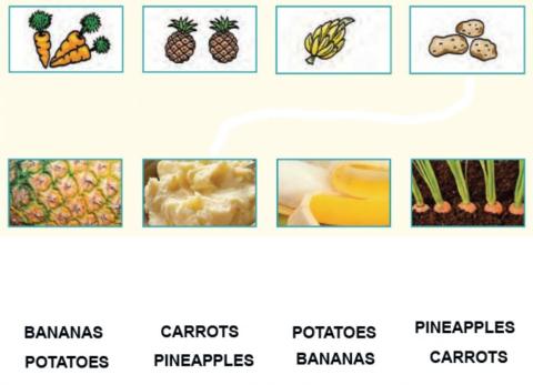 Match the vegetables