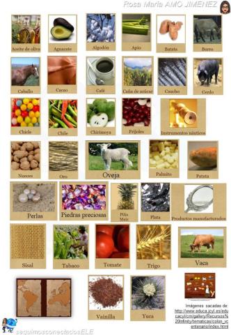 El descubrimiento de América - Intercambios