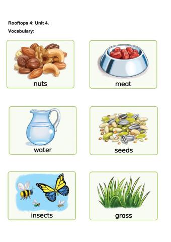 Rooftops 4: Unit 4 - Flashcards