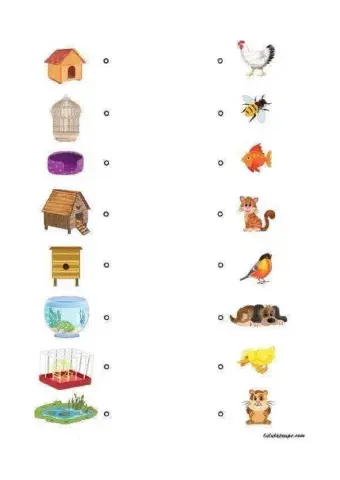 Relación animal habitat