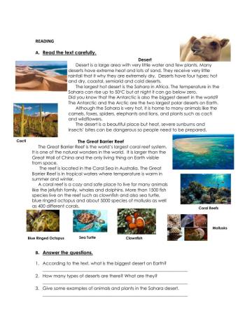 Superlatives activities