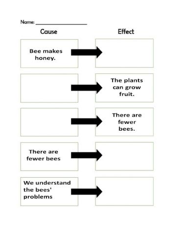 Bees: Cause and Effect