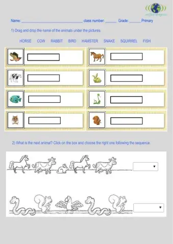 Animals worksheet
