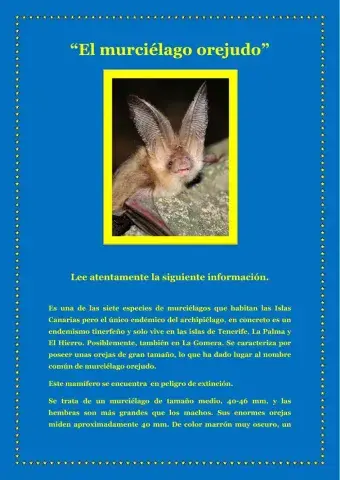 El murciélago orejudo (Canarias)