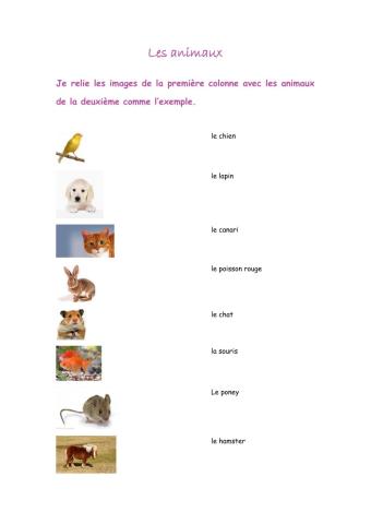 Les animaux