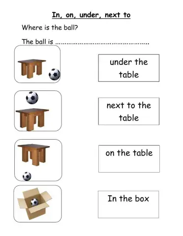 Where is the ball? In, on, under, next to