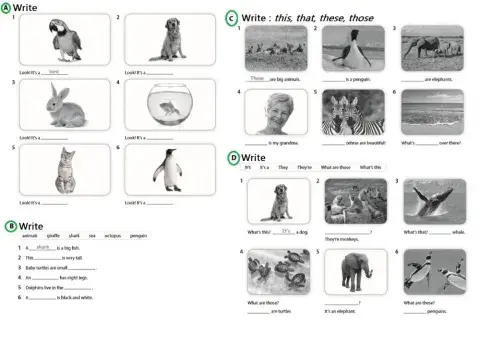 Revision unit 3 - children4