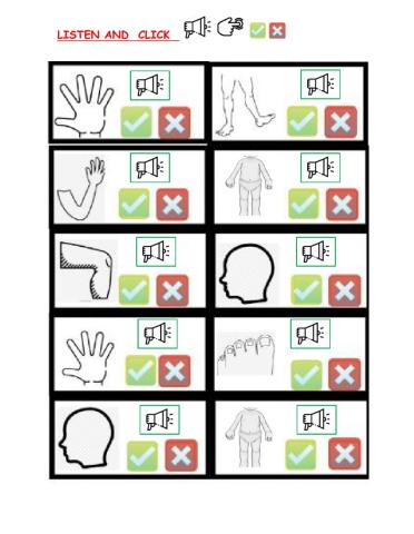 Parts of the body- Homework 3