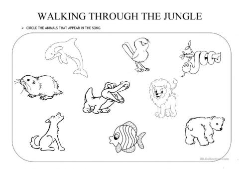 Walking through the jungle