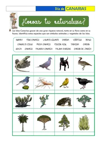 ¿Conoces tu naturaleza?