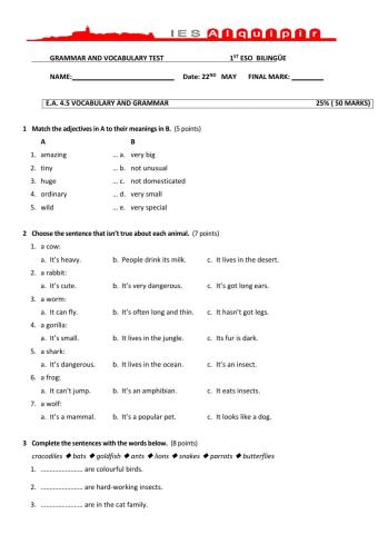 Unit 6 test grammar and vocabulary