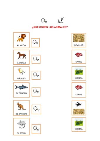 Animales que comen