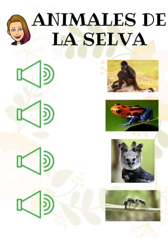 Animales de la Selva
