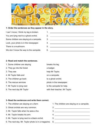 A discovery in the forest