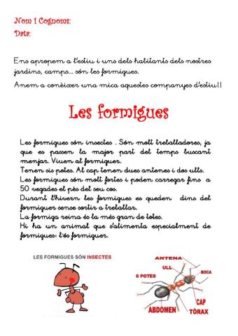 Les formigues